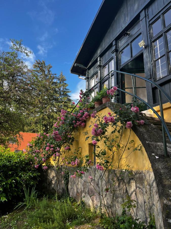 Apartmentvillasolomon7 Visegrád Екстериор снимка